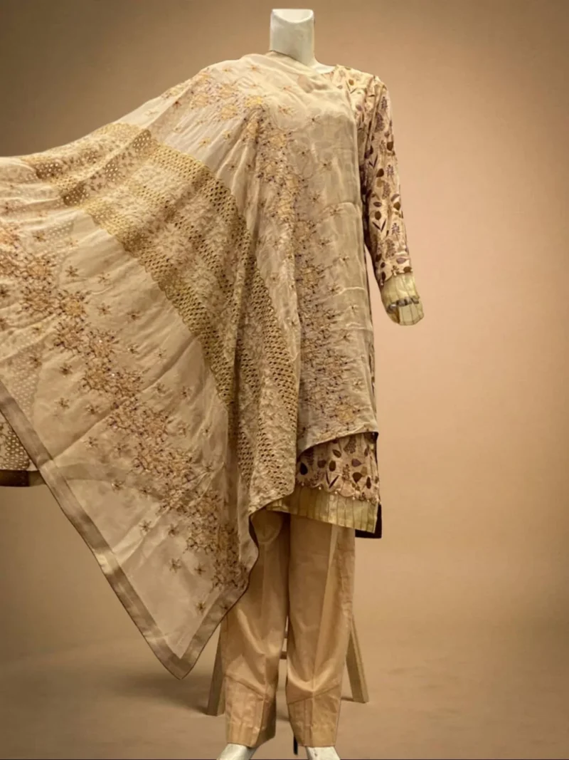 Light Brown Printed Suit with Embroidered Chiffon Dupatta