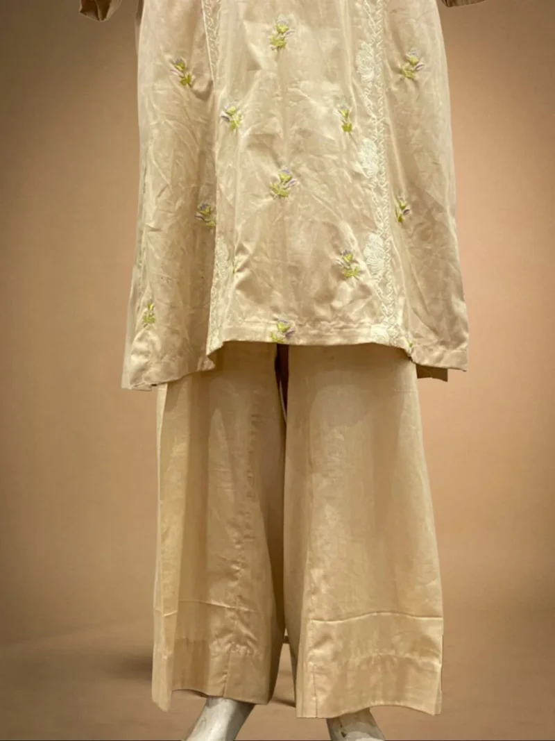 Elegant Skin Color Embroidered Suit - Image 3