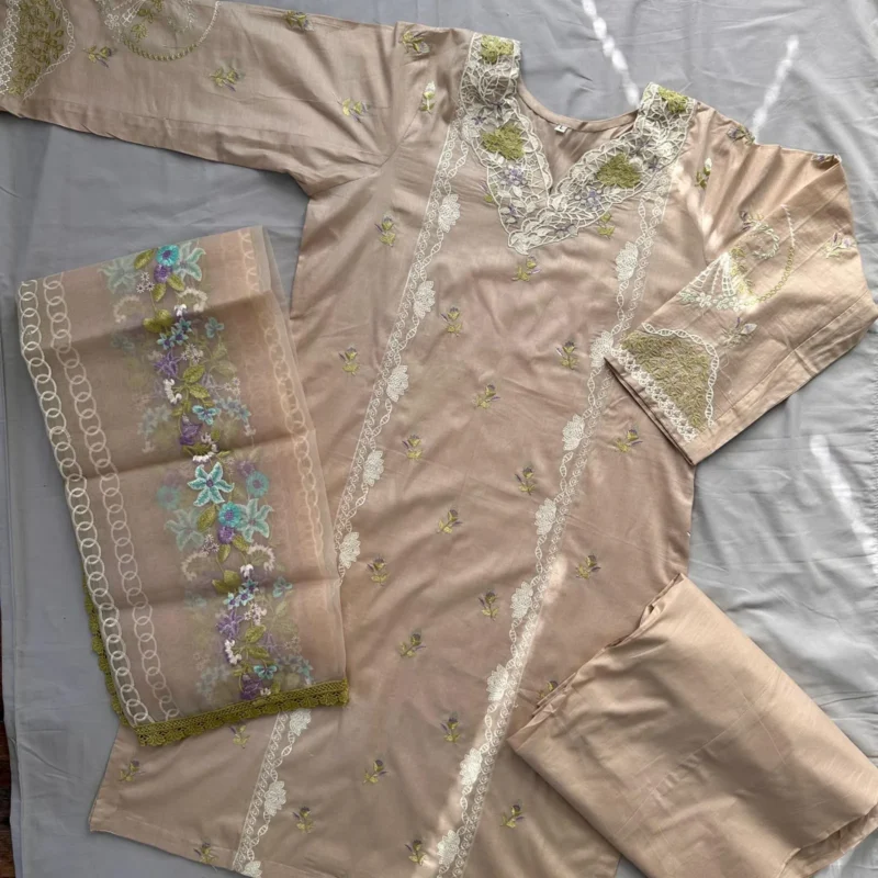 Elegant Skin Color Embroidered Suit - Image 6